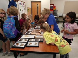 Exotic Animals Class