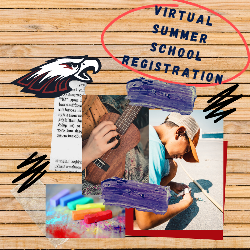 Virtual Summer School Registration
